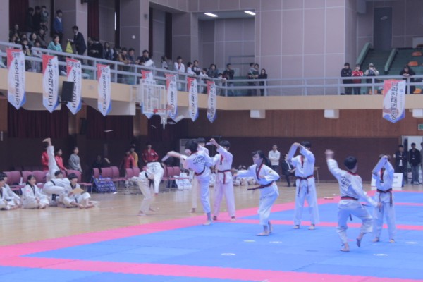 20941b9e3e66b40565d471453cdbb81c_1543806709_6371.JPG